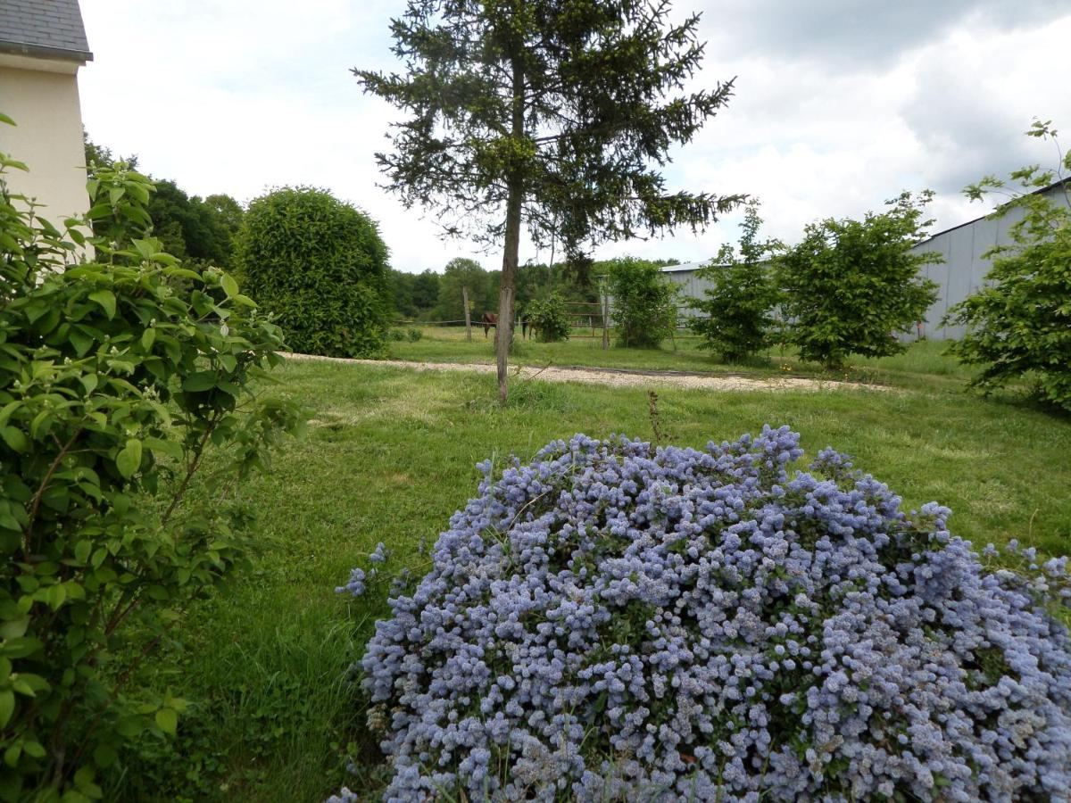 Bed and Breakfast Bienvenue A L'Andruere Cheille Екстер'єр фото